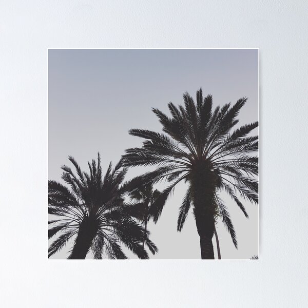 Item preview, sunset palms designed and sold by TeresaYoung9.