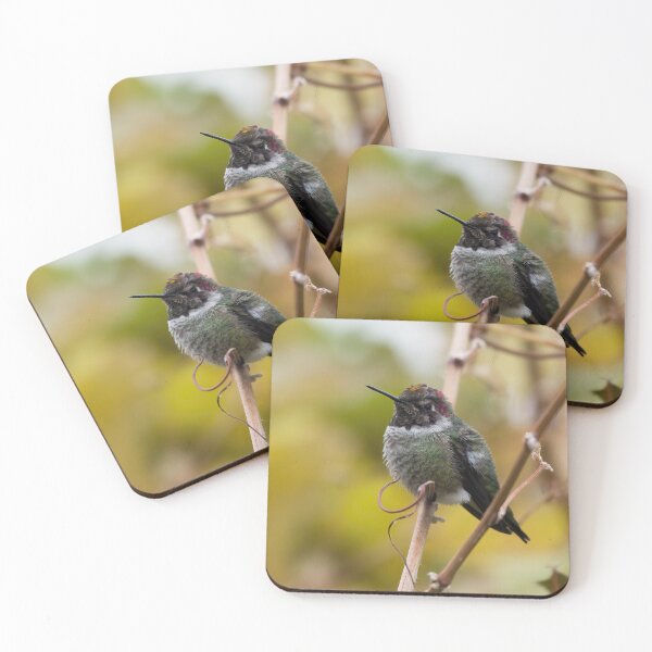 Item preview, Pretty Hummingbird with Various Colors on His Head  ( enlarge to view colors) designed and sold by CarolM.