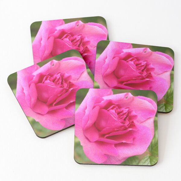 Item preview, Lovely aromatic pink rose flower picture. designed and sold by naturematters.