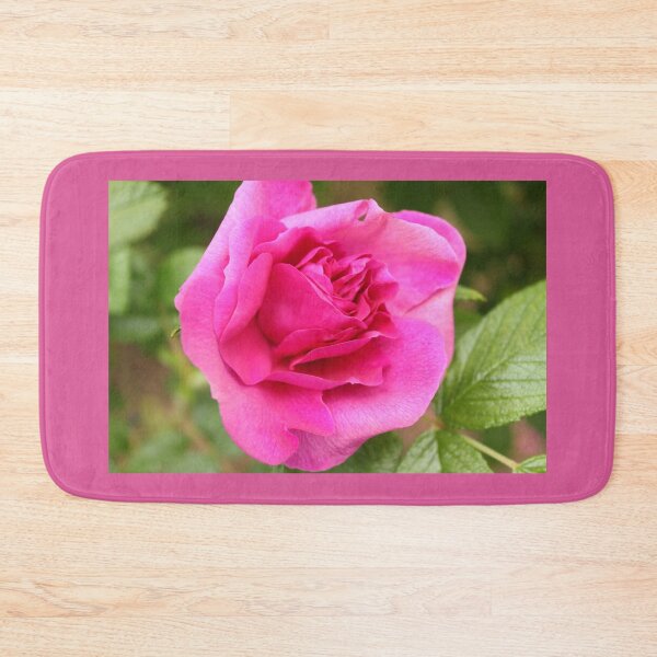 Item preview, Lovely aromatic pink rose flower picture. designed and sold by naturematters.
