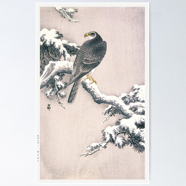 Item preview, Goshawk on Snow-covered Pine Bough designed and sold by martinprins.