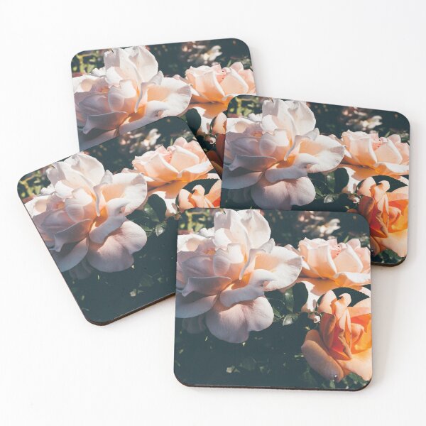 Rose Garden Coasters (Set of 4)