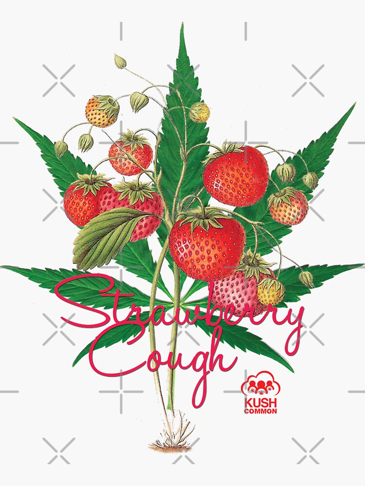 Strawberry Cough by kushcommon