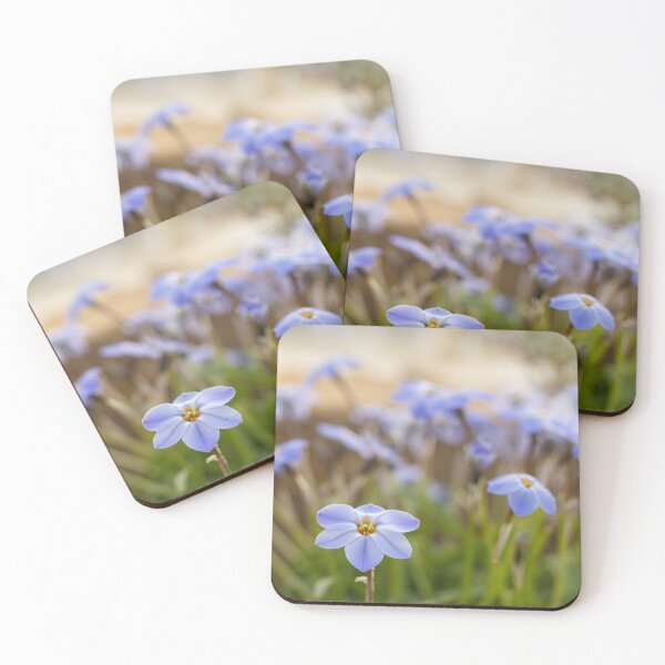 Item preview, A photo of a springstar flower designed and sold by LewiRies.