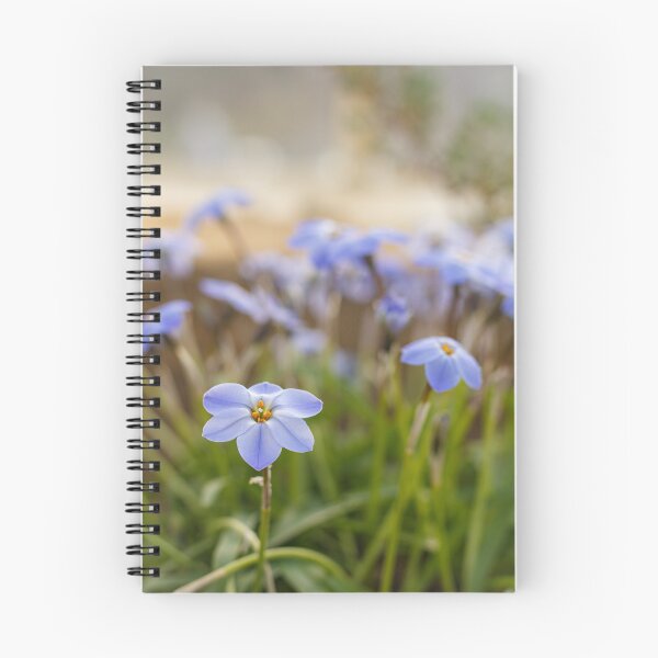 Item preview, A photo of a springstar flower designed and sold by LewiRies.