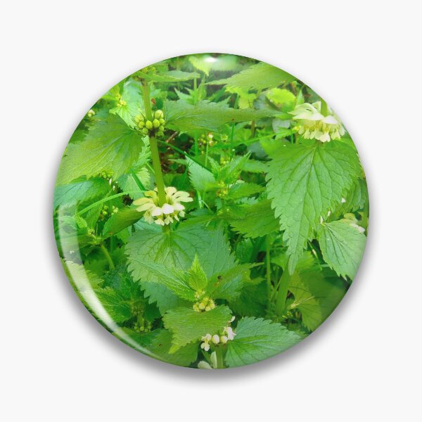 Item preview, Blooming nettle designed and sold by BigArt2shop.