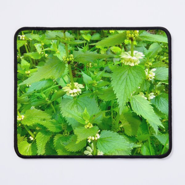 Item preview, Blooming nettle designed and sold by BigArt2shop.