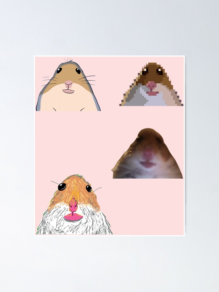 Hamster Staring Meme Sticker Set Poster For Sale By Redakhatib Redbubble