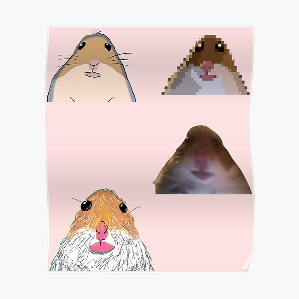 Hamster Staring Meme Sticker Set Poster For Sale By Redakhatib Redbubble