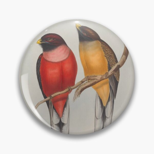 Item preview, Rose-breasted trogon designed and sold by Donkey's Salad.