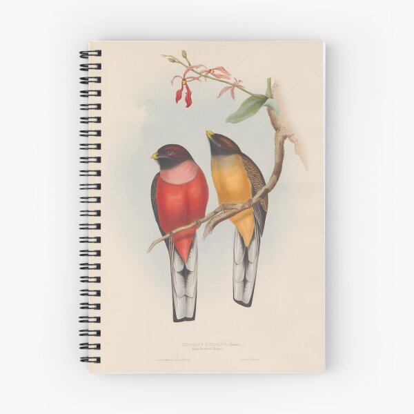 Item preview, Rose-breasted trogon designed and sold by Donkey's Salad.