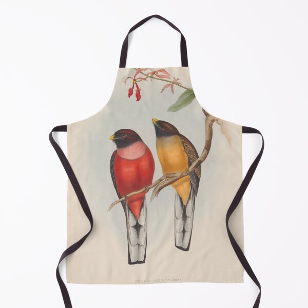 Item preview, Rose-breasted trogon designed and sold by Donkey's Salad.