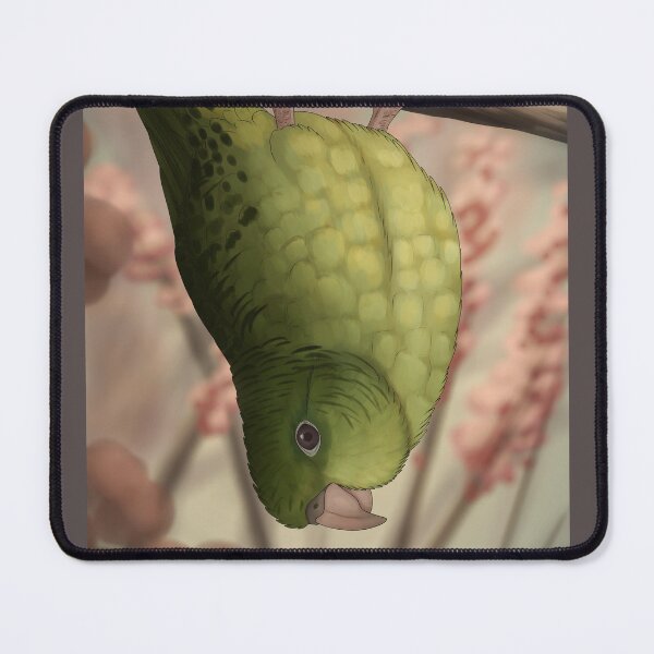 Item preview, Barred parrot designed and sold by DragonArtist15.