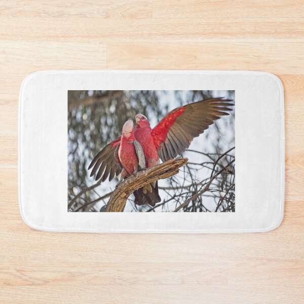 Item preview, Galahs 4 - Canberra, Australia designed and sold by StevenRalserPhoto.