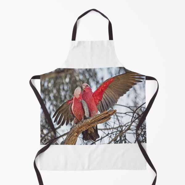 Item preview, Galahs 4 - Canberra, Australia designed and sold by StevenRalserPhoto.