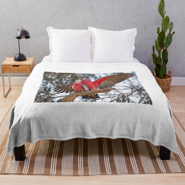 Item preview, Galahs 4 - Canberra, Australia designed and sold by StevenRalserPhoto.