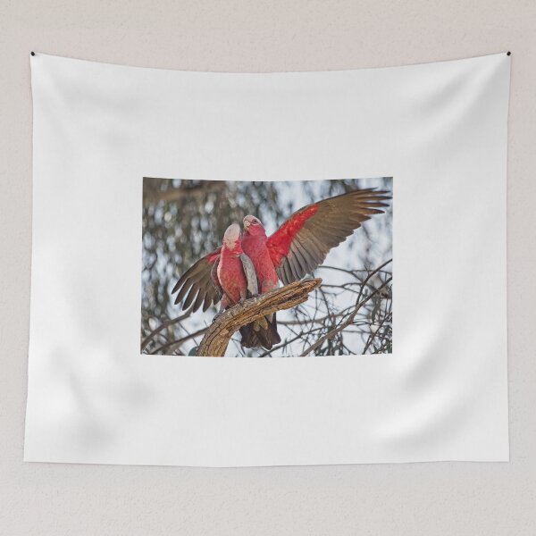 Item preview, Galahs 4 - Canberra, Australia designed and sold by StevenRalserPhoto.