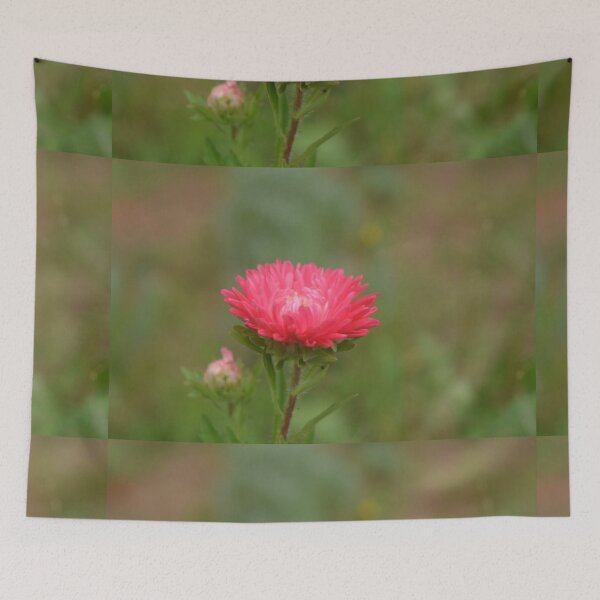 Item preview, fall red daisy flower in the garden designed and sold by naturematters.