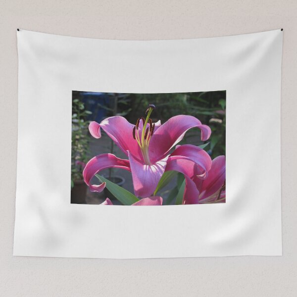 Item preview, Dalian Up Close designed and sold by Pat Yager.