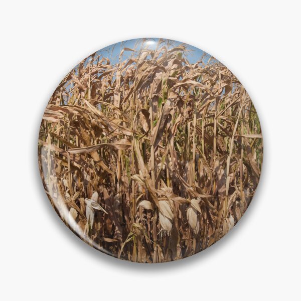 Item preview, Corn stalks designed and sold by Jaime Pharr.