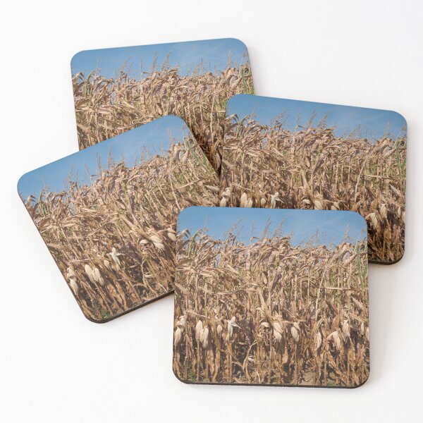 Item preview, Corn stalks designed and sold by Jaime Pharr.