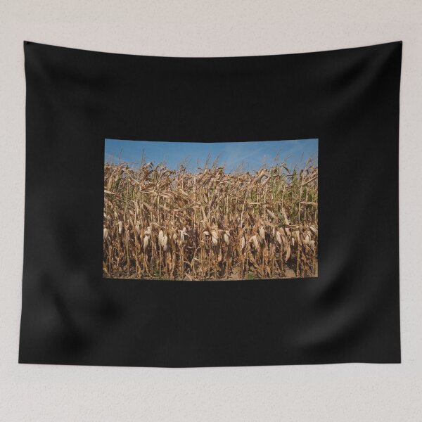 Item preview, Corn stalks designed and sold by Jaime Pharr.