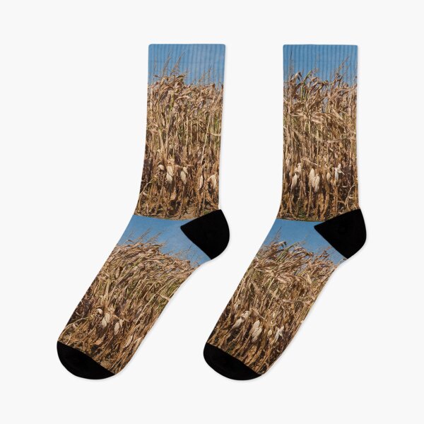 Item preview, Corn stalks designed and sold by Jaime Pharr.