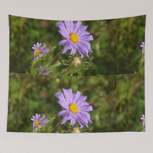 Item preview, purple daisy flowers in the garden designed and sold by naturematters.