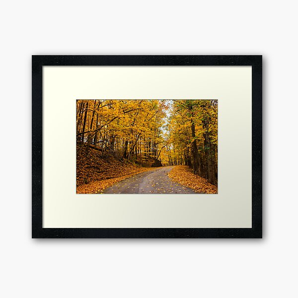 Item preview, Fall Road designed and sold by kalimorganphoto.