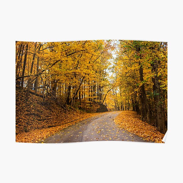 Fall Road Poster