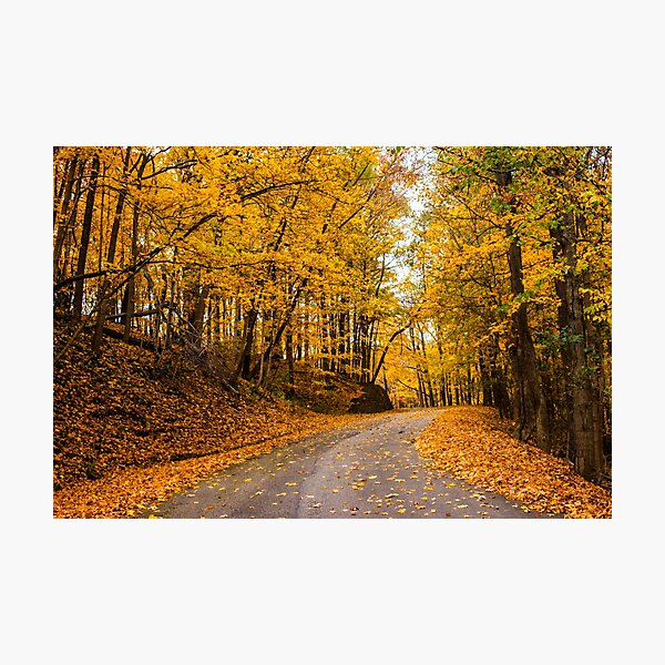 Item preview, Fall Road designed and sold by kalimorganphoto.