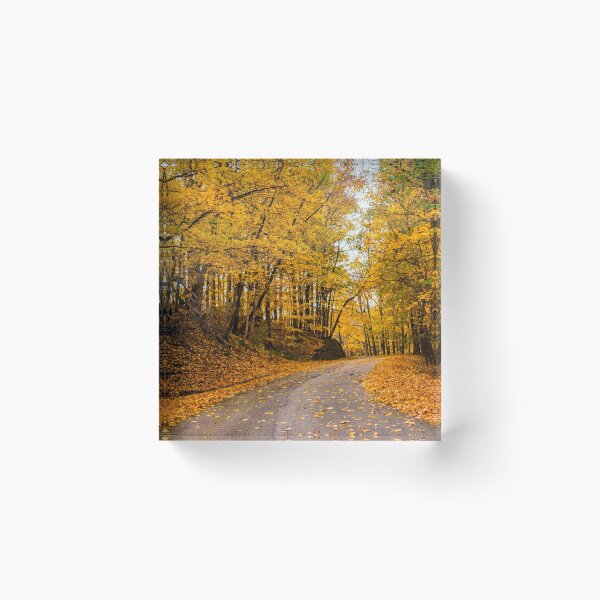 Item preview, Fall Road designed and sold by kalimorganphoto.
