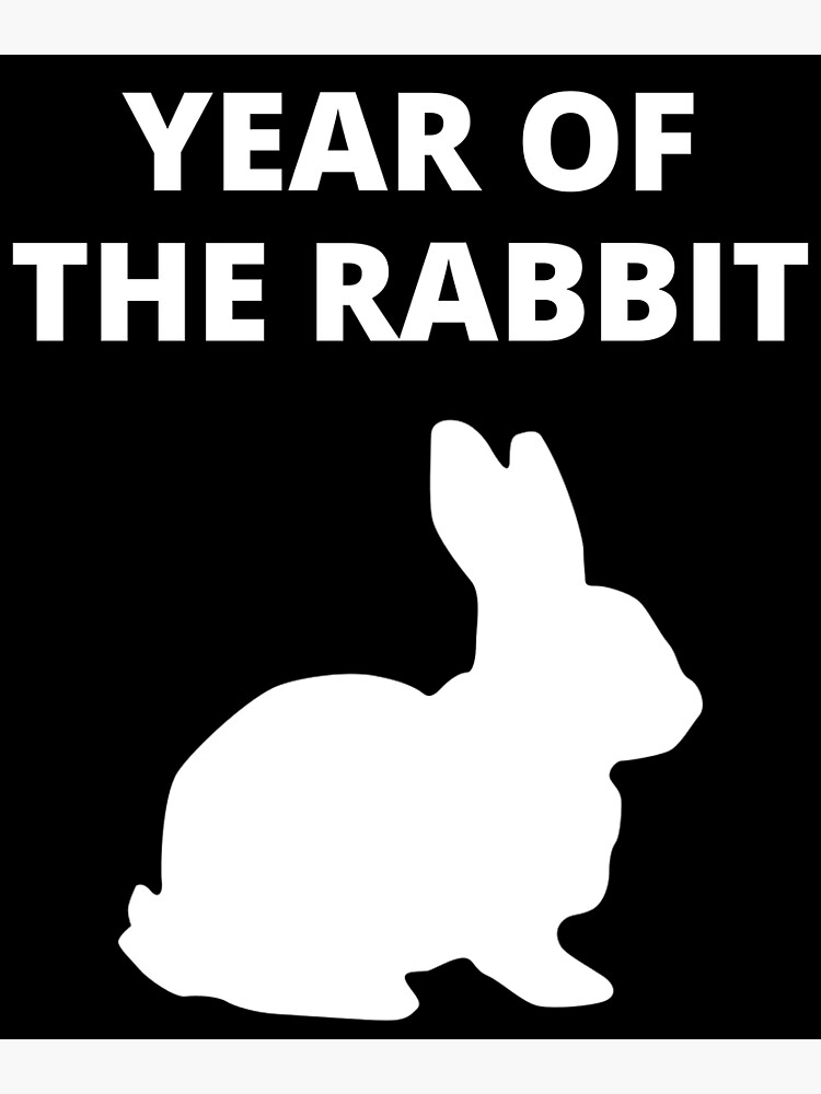 "Year Of The Rabbit 2023 " Poster for Sale by uniqueitems Redbubble