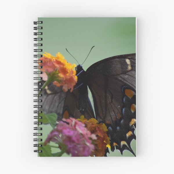 Item preview, Butterfly on Flowers designed and sold by MontanaWolves21.