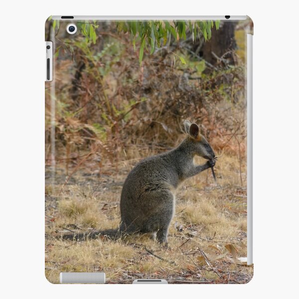 Australian Wildlife|Wallaby|Cute Australian Animals|Nature Photography iPad Snap Case