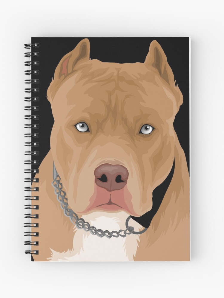 Beautiful Pitbull - Pit bull Dog