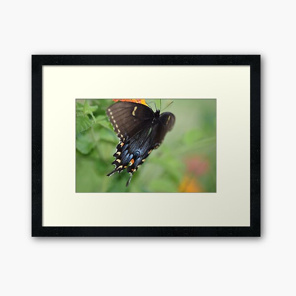 Item preview, Butterfly designed and sold by MontanaWolves21.