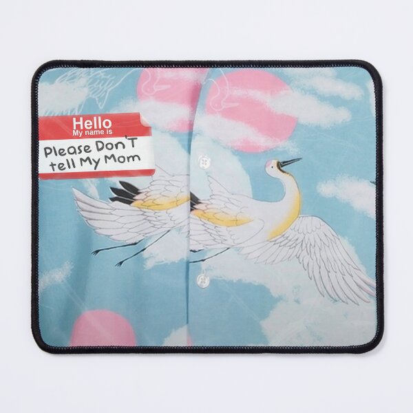Item preview, Please Don't Tell My Mom album cover  designed and sold by DSComedy.
