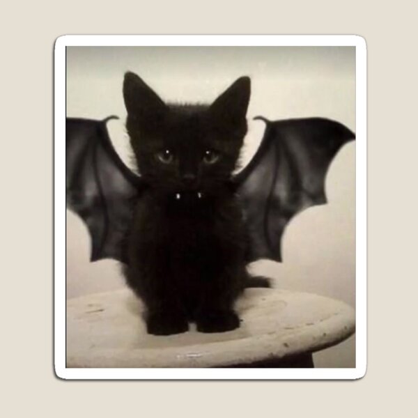 Item preview, batboy designed and sold by iloveyouoctober.