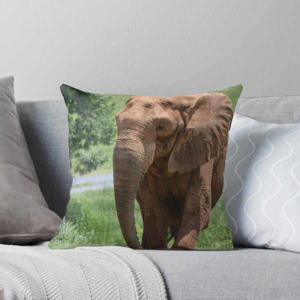 Item preview, Elephant Walking designed and sold by MontanaWolves21.