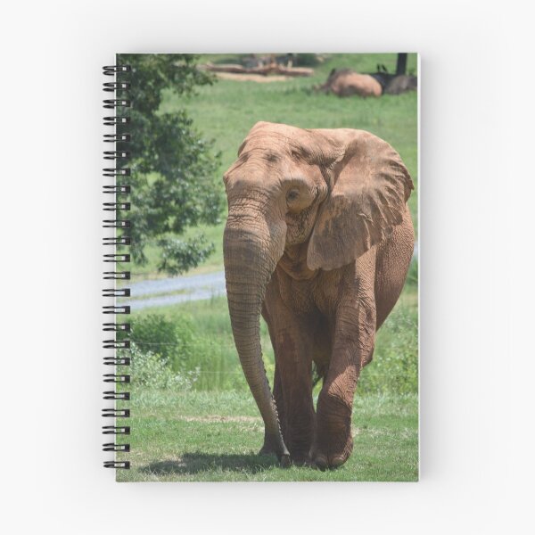 Item preview, Elephant Walking designed and sold by MontanaWolves21.