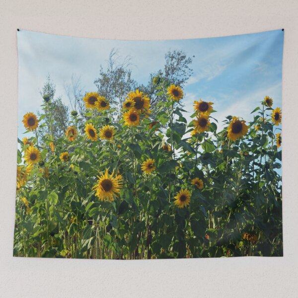 Item preview, Pretty sunflowers in blue sky photography designed and sold by naturematters.