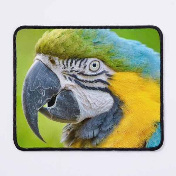 Item preview, Blue and Gold Macaw Profile designed and sold by richardbryce.
