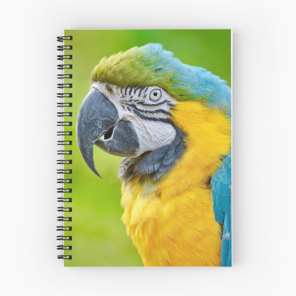 Item preview, Blue and Gold Macaw Profile designed and sold by richardbryce.