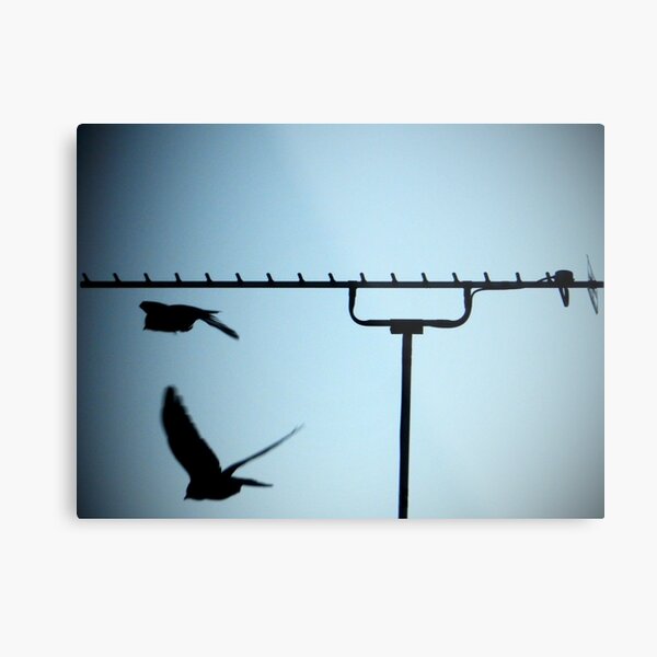 Day 48 Metal Print