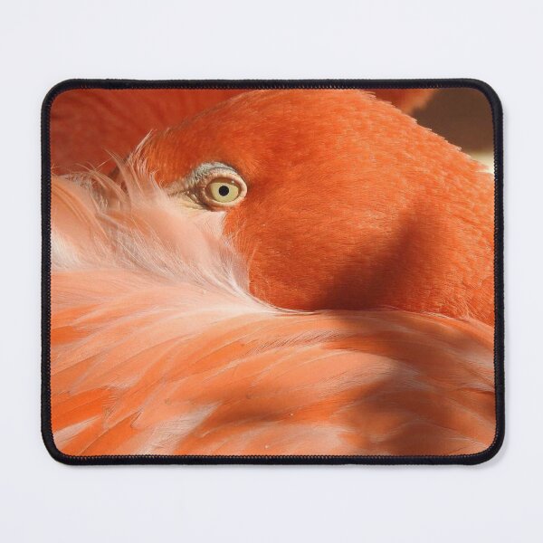 Item preview, Caribbean Flamingo  designed and sold by Sharon the Zoo Lady Photography .