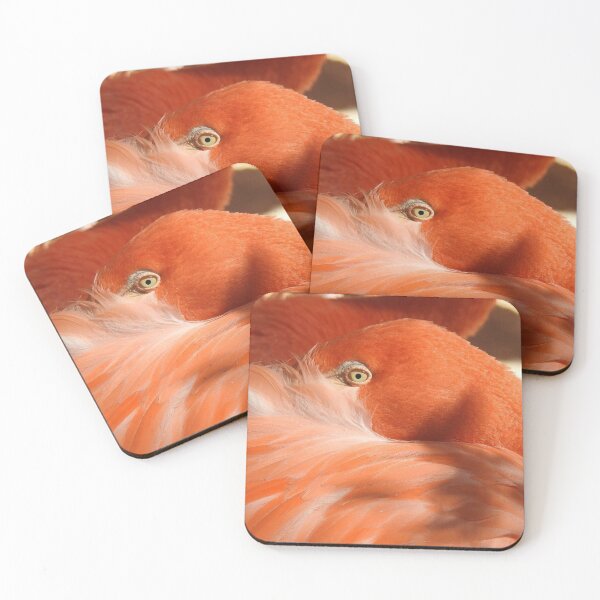 Item preview, Caribbean Flamingo  designed and sold by Sharon the Zoo Lady Photography .