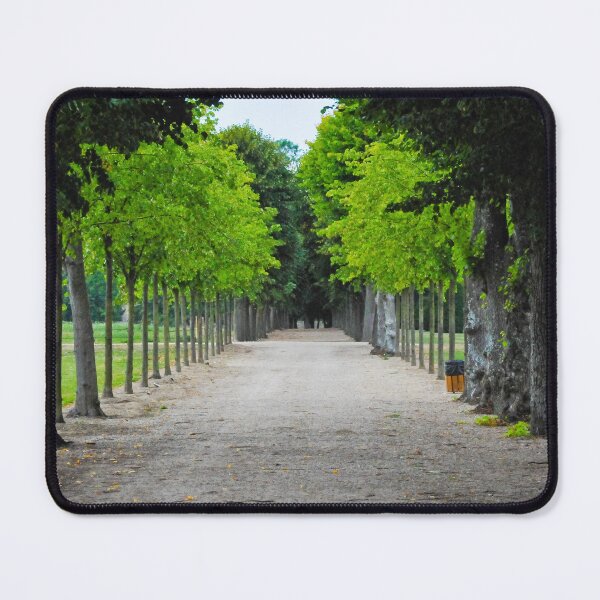 Item preview, Park path designed and sold by Jaime Pharr.