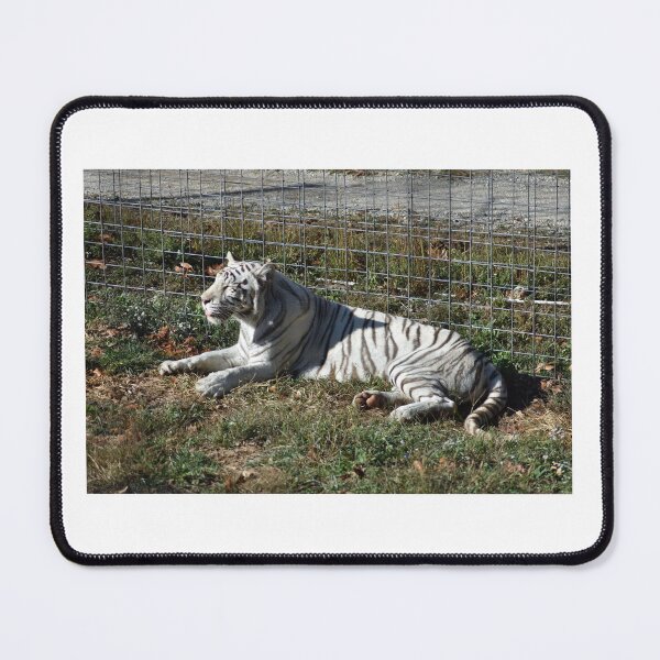 Item preview, White Tiger designed and sold by MarieDarcy97.