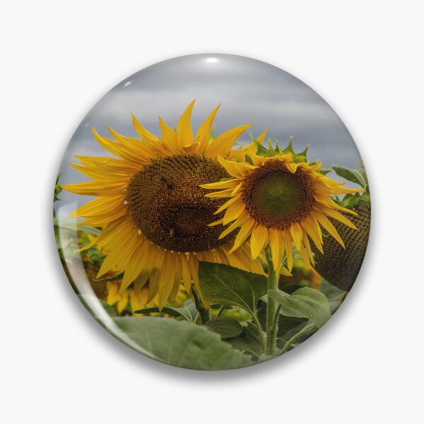 Item preview, Sunflower Field designed and sold by Marylou Badeaux.
